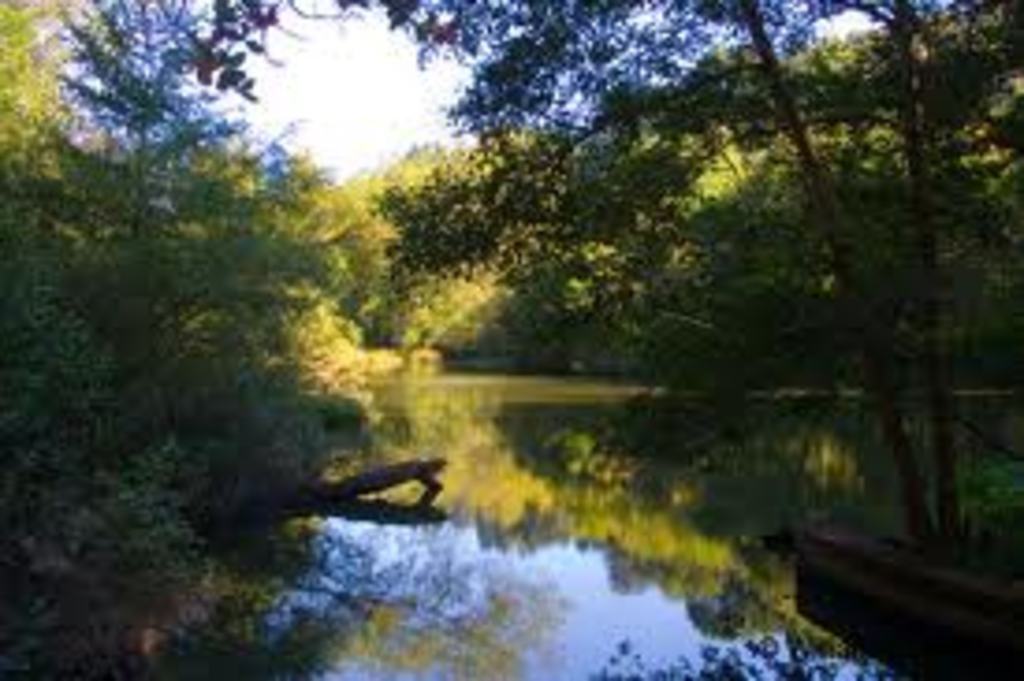 Hiking trail around Lake Anza