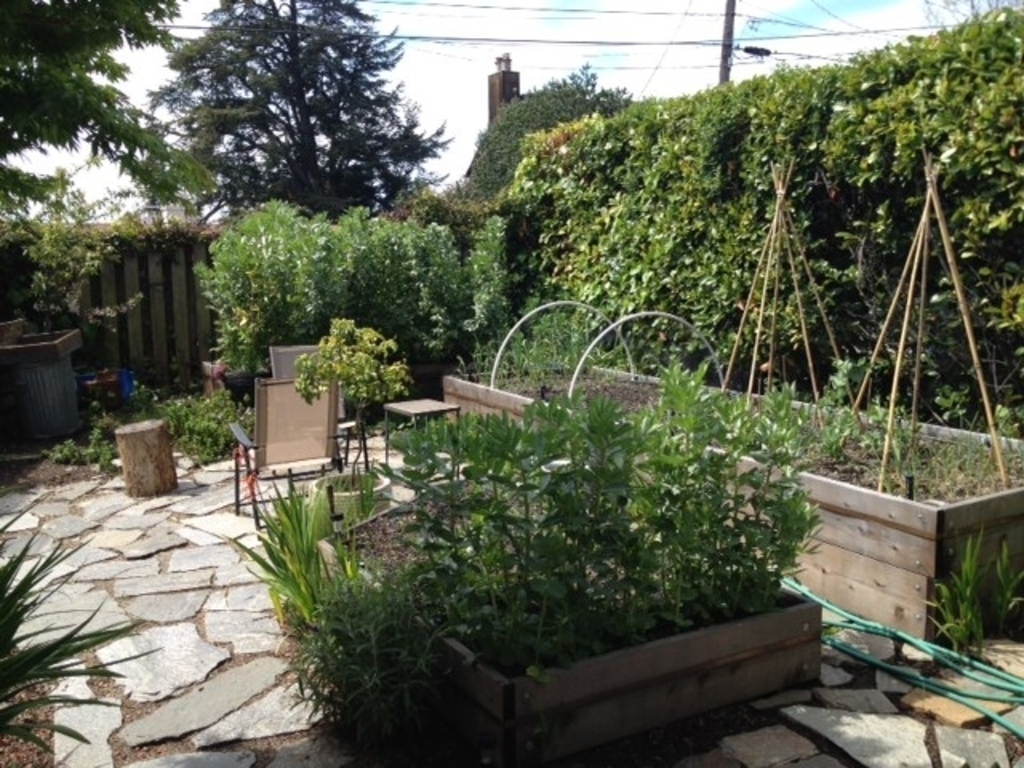 West garden has beds of vegetables and berries.  