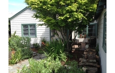 Front of our house faces west and has a lovely maple tree for shade.
