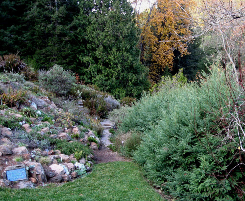 Botanical Garden in Tilden Park has flora from all parts of the state