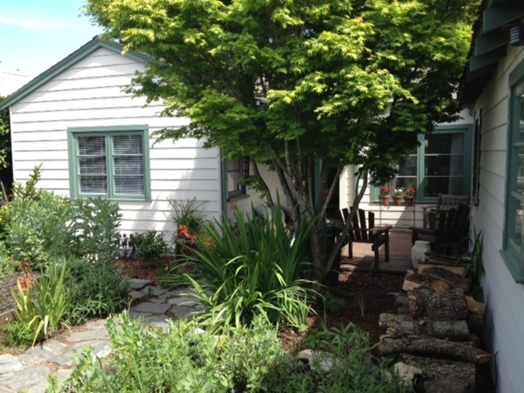 Front of our house faces west and has a lovely maple tree for shade.