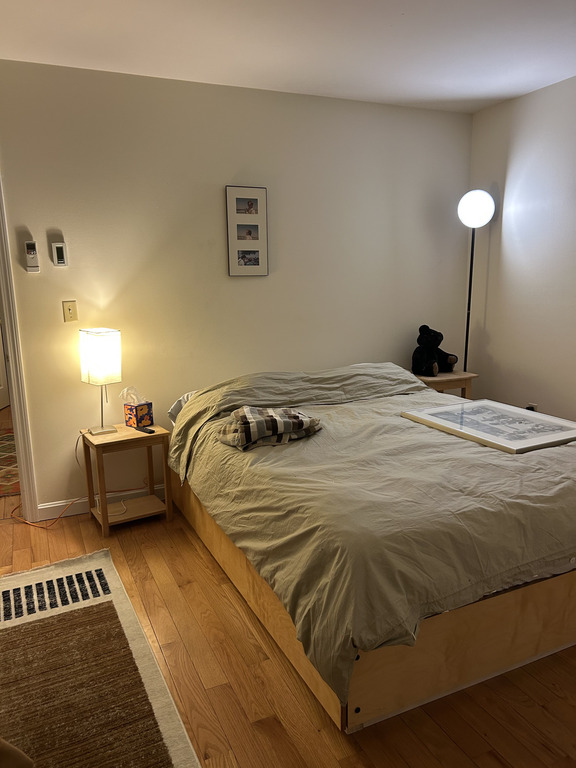 front bedroom, queen bed