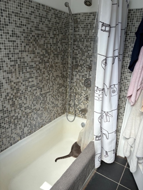 Excellent bathtub! Great water pressure.