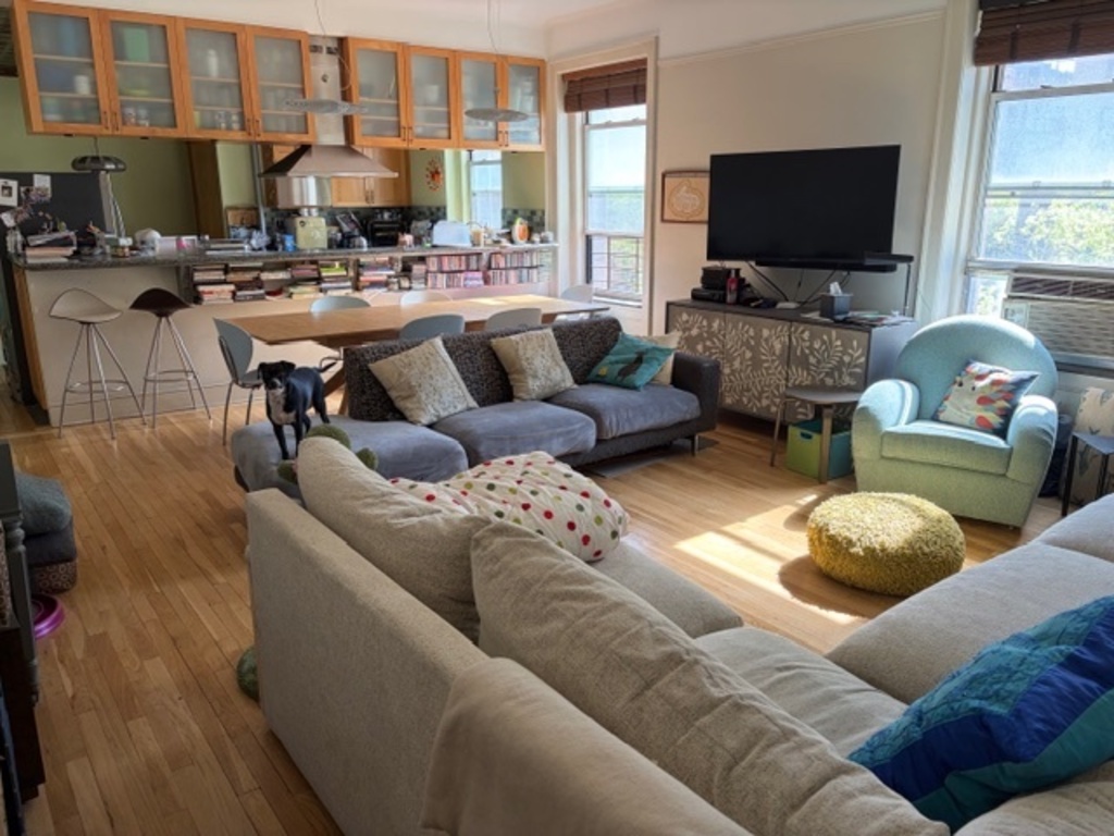 Sundrenched living room with two comfortable couches and reading chair.