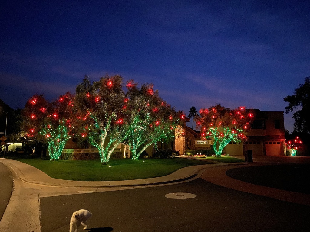 This is what Christmas looks like in my neighborhood...Nice to walk and see it