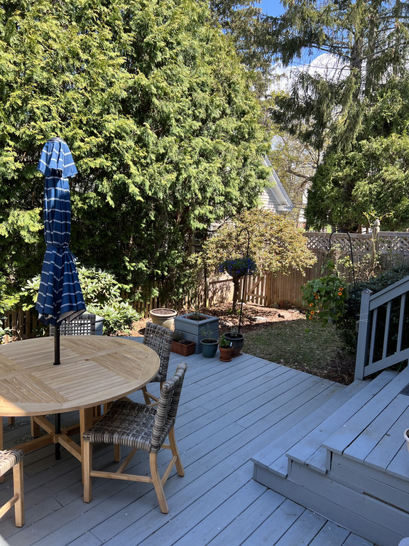 back yard and deck