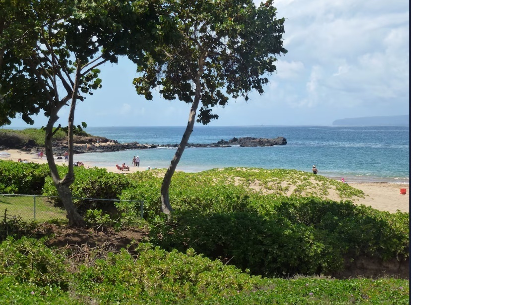 The beach across the street from our complex. The lava flow is great for tide pooling