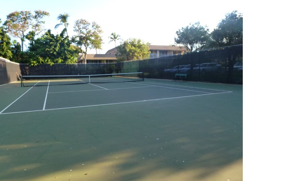 Tennis and Pickle Ball court for your use at no extra cost