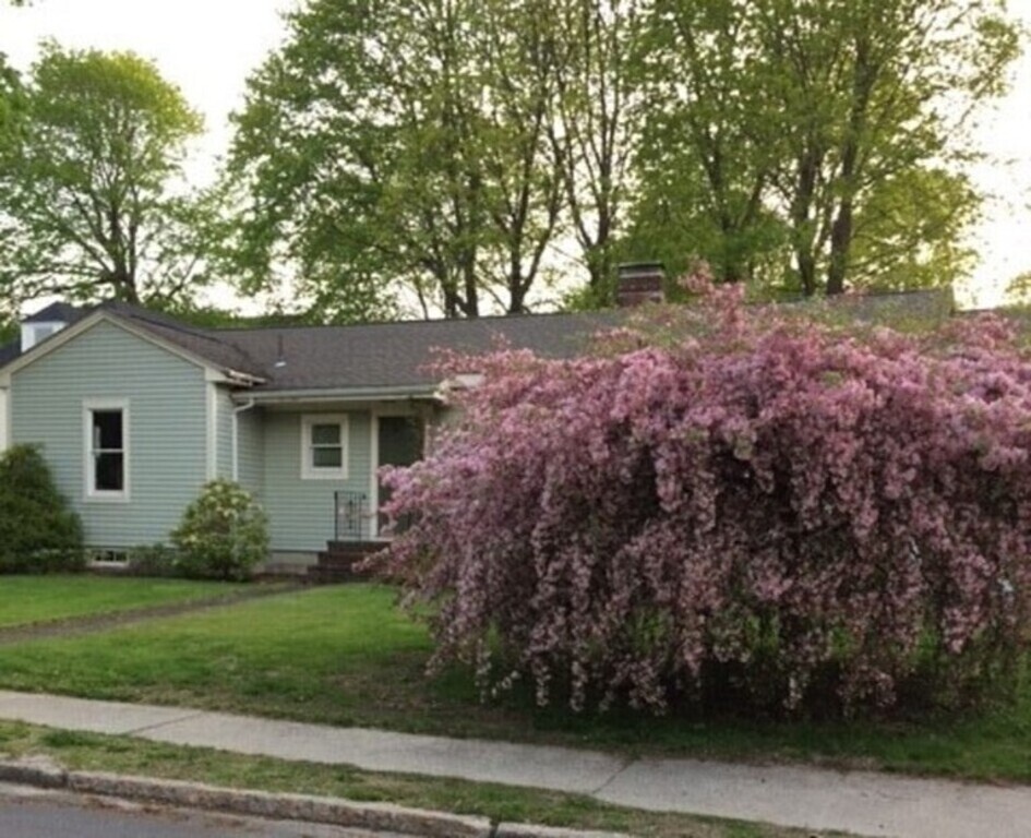 front yard