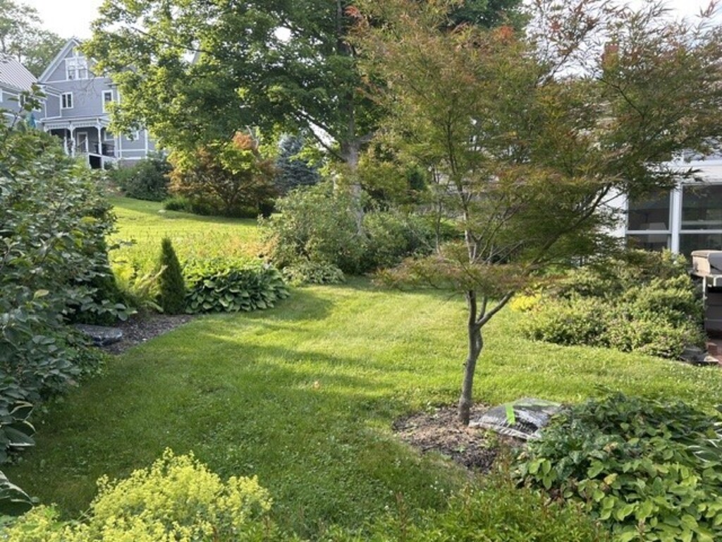 back yard and neighbor's house