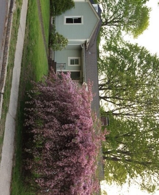 front yard