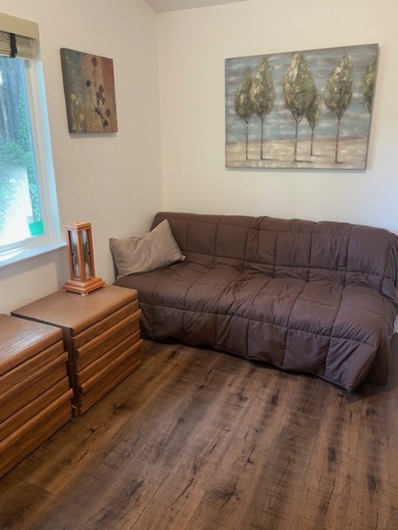 bedroom 2 with foldout couch