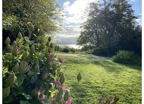 A view from the front porch of the house.
