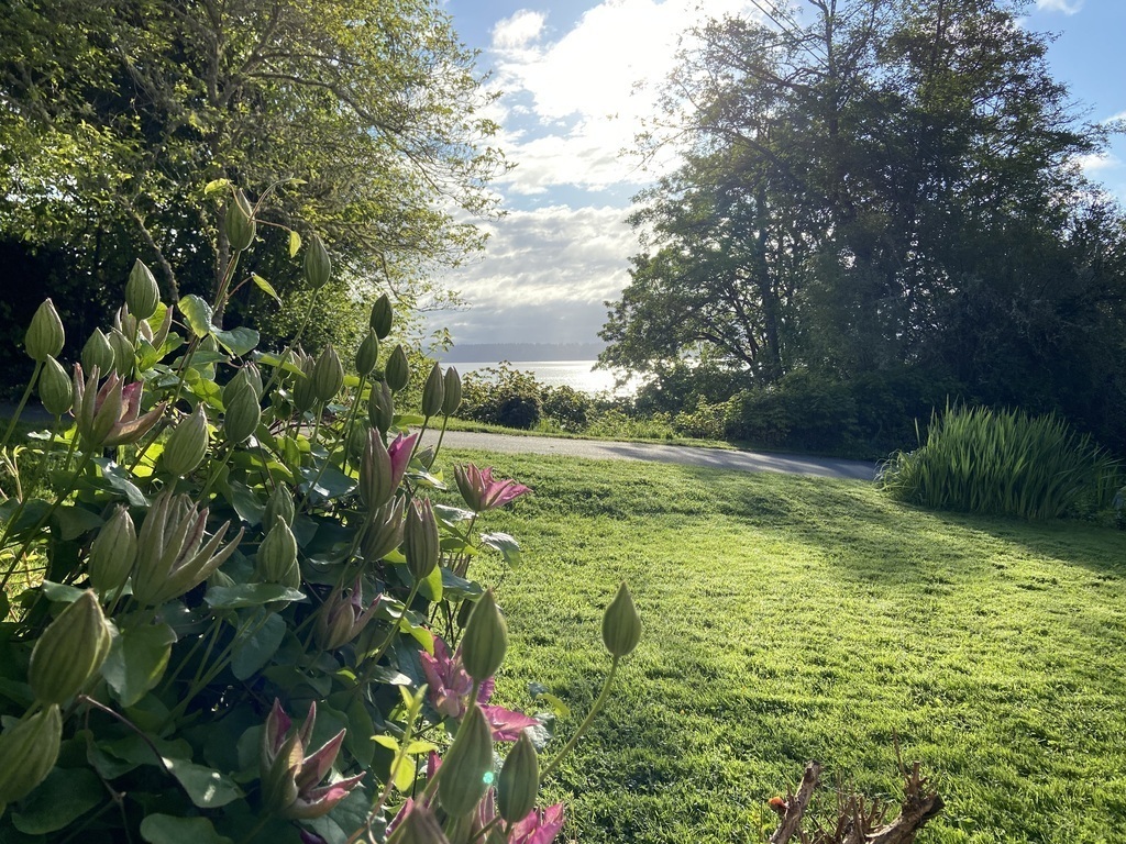 A view from the front porch of the house. 