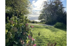 A view from the front porch of the house. 