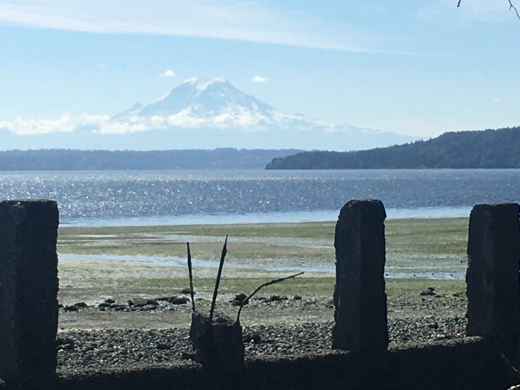 This is the view of Mt. Rainier from our beach. The bank is eroding above the beach so the path is compromised. It's still po...