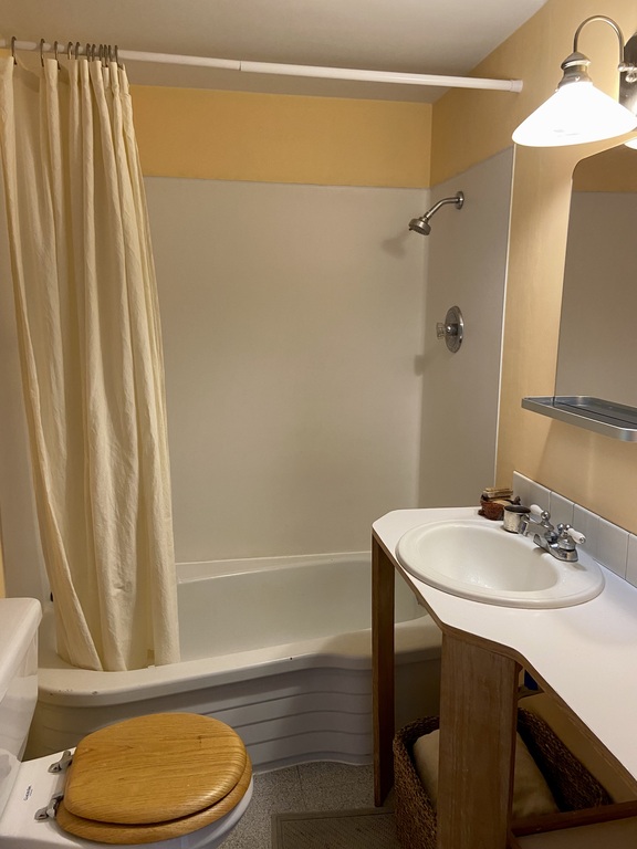 The downstairs bathroom. We use hemp shower curtains to avoid plastic or vinyl shower curtains. 