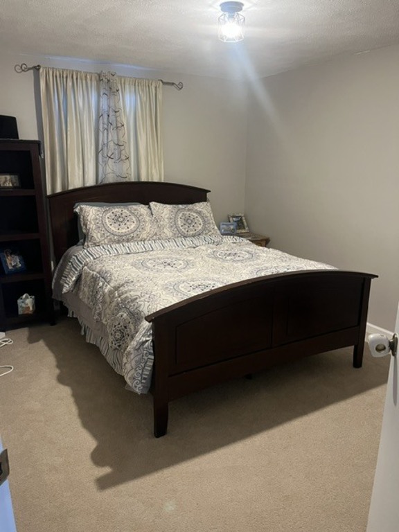 Guest room downstairs - queen size bed