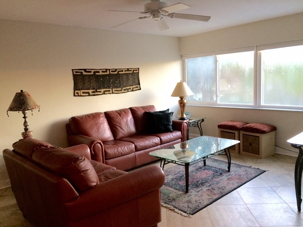 We love our new leather couches.