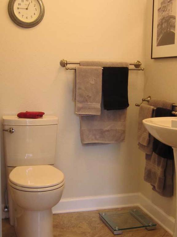 Ensuite bathroom for downstairs bedroom. There is also a walk-in closet.