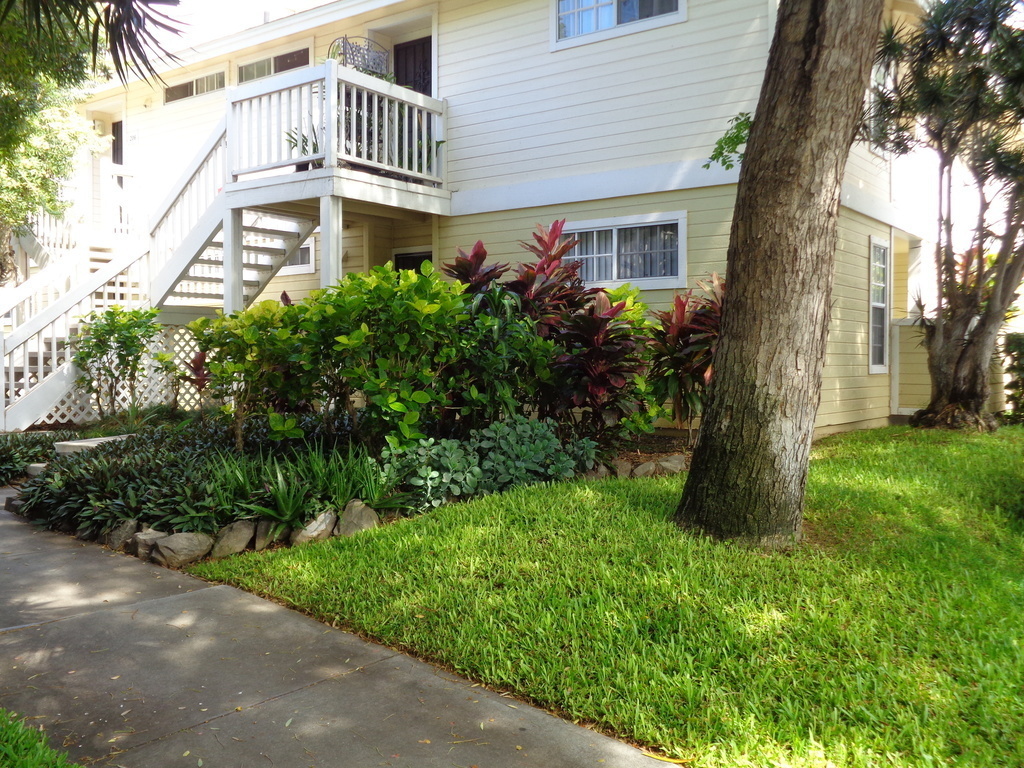 Easy entrance at ground level