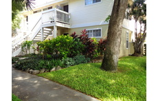 Easy entrance at ground level