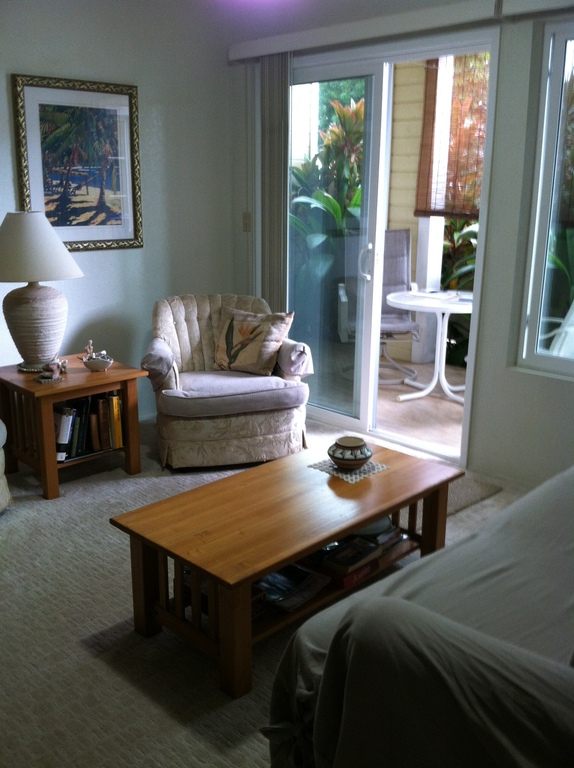 View from the living room onto the private lanai