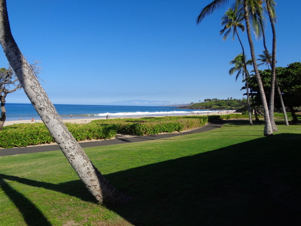 Hapuna Beach is the best one in the US according to "Dr. Beach."