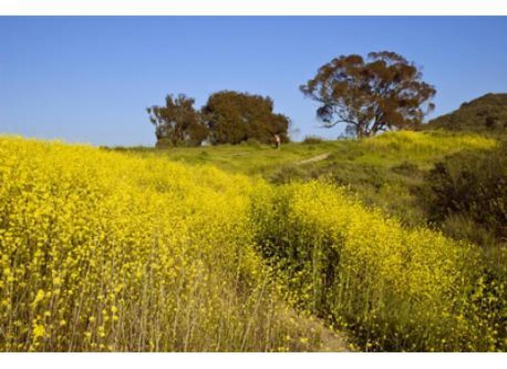 Hiking San Elijo Lagoon-3 miles from home