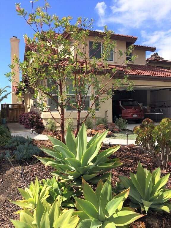 View from the street.