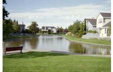Lagoon Directly Across The Street