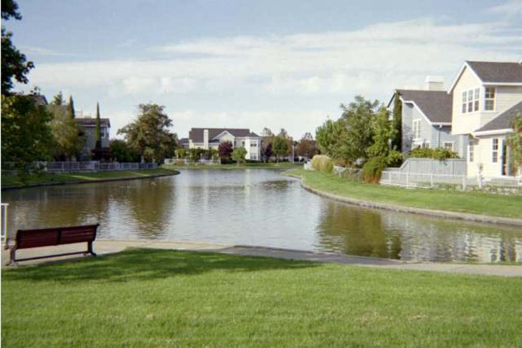 Lagoon Directly Across The Street