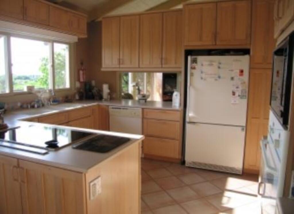 Kitchen w/Magnetic Induction Cook Top and Santa Catalina Island view