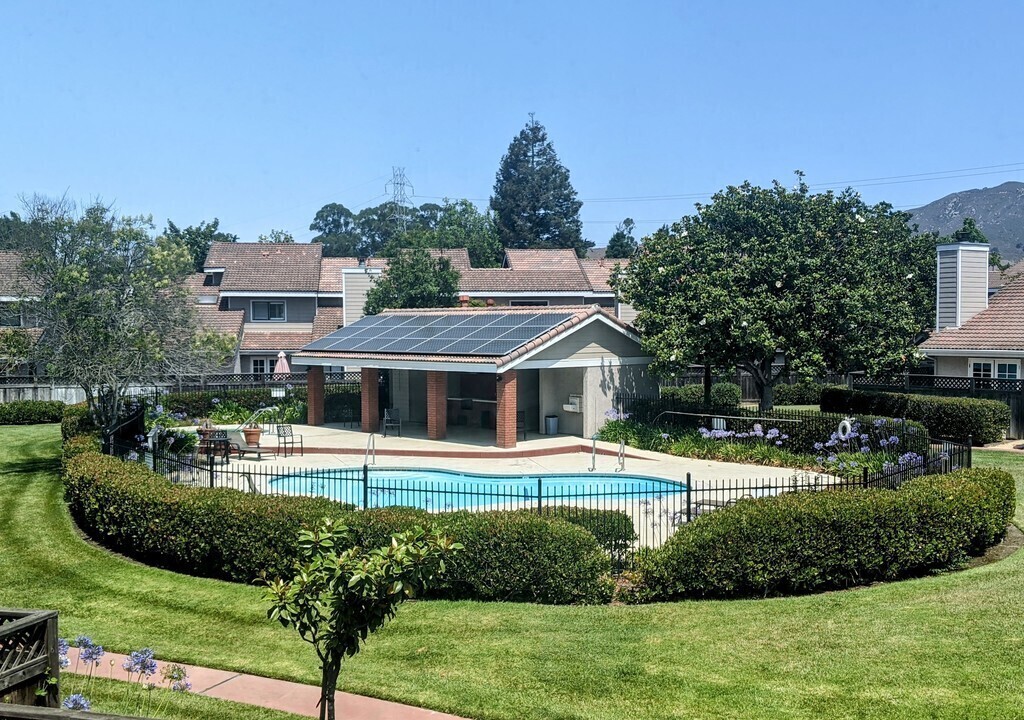 greenbelt, pool and jacuzzi