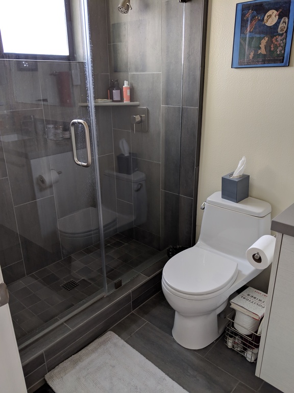 Guest room bath, step-in shower