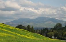Mt. Diablo view is a short walk from our condo