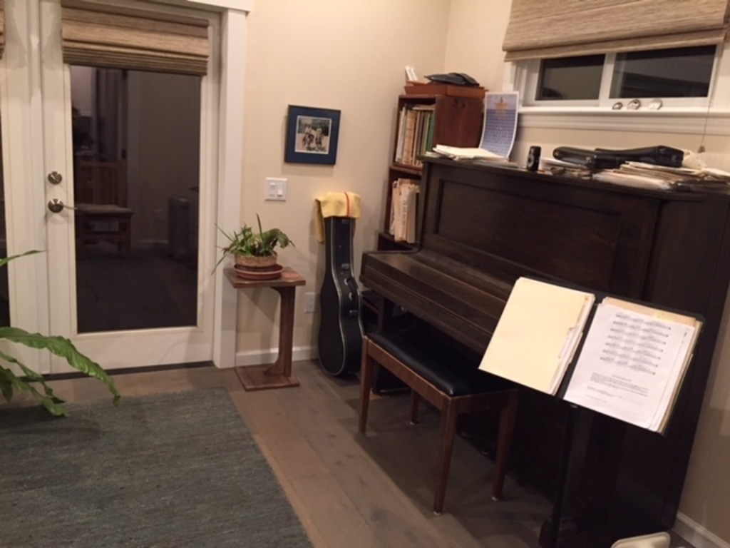 Music room/guest room