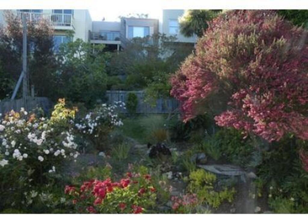 Back yard. (new photo coming soon)