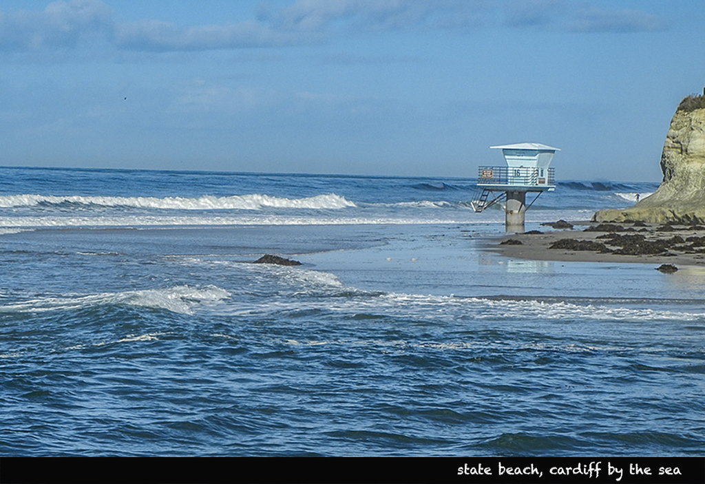 Cardiff by the Sea State Beach