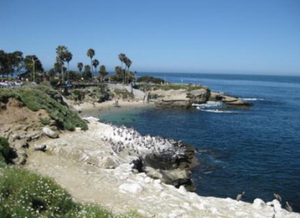 La Jolla Cove-30 min drive