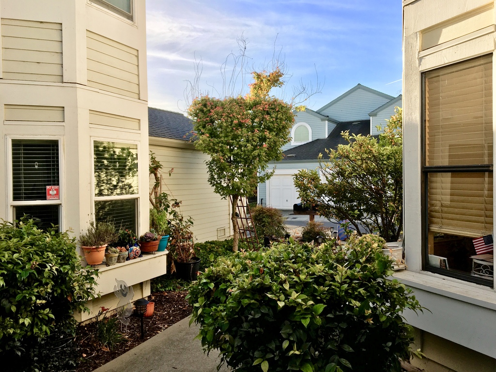 Entry way to our home, along plants and flowers, our parking place is steps away.