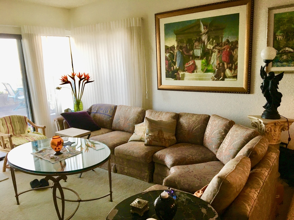 Living room, see the sliding door onto the deck at left of the pic.
