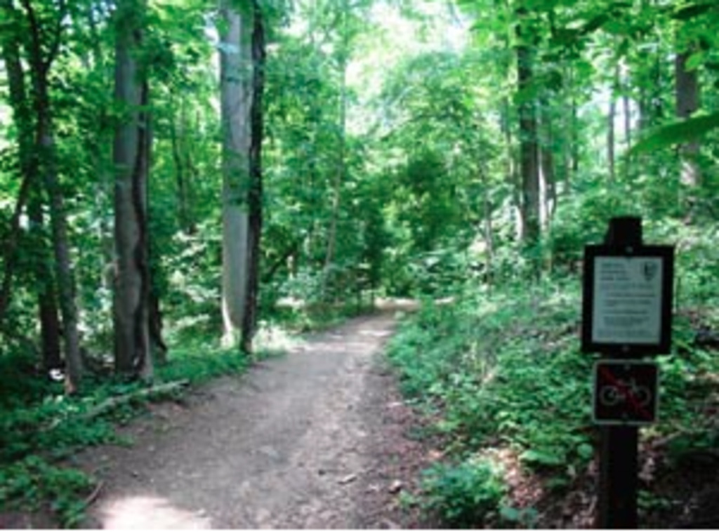 Rock Creek Park, one of Washington's treasures