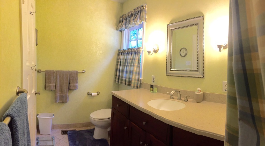 Hall Bathroom - picture 2