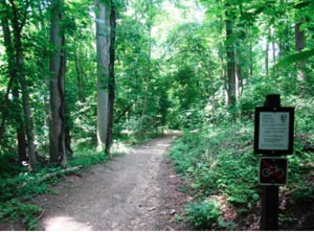 Rock Creek Park, one of Washington's treasures