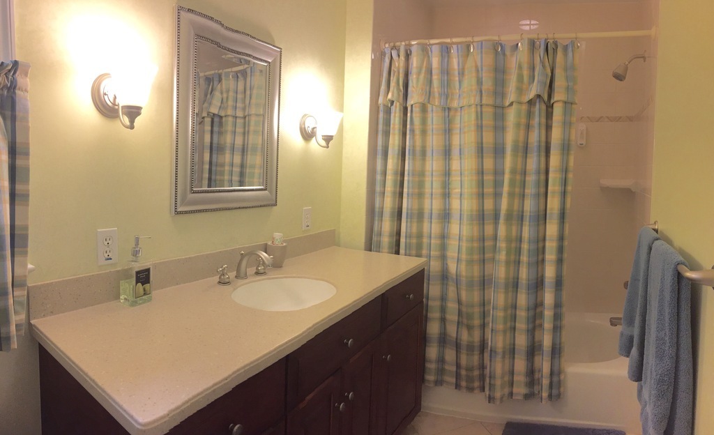 Hall Bathroom - picture 1