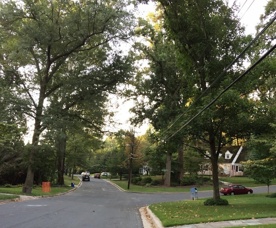 Our neighborhood looking south from our house