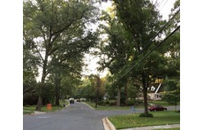 Our neighborhood looking south from our house