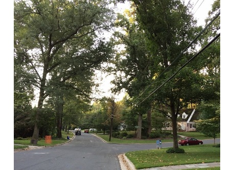 Our neighborhood looking south from our house