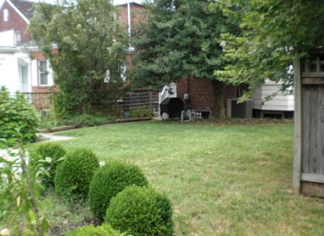 Side yard (Washington, DC) 